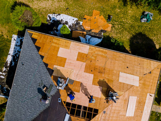Best Metal Roofing Contractor  in Osawatomie, KS