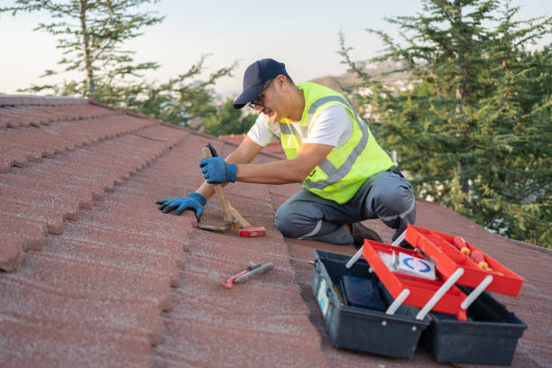 Sealant for Roof in Osawatomie, KS